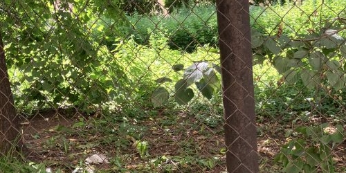 Студия Рижский проспект, 60Ж