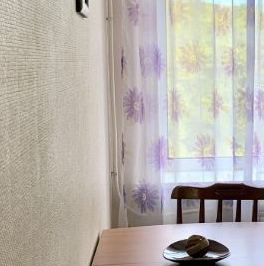 Аренда 2-комн квартиры на вторичном рынке Среднеохтинский проспект, 57