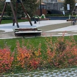 Аренда 1-комн квартиры на вторичном рынке Мурино, проспект Ручьевский, 17к1