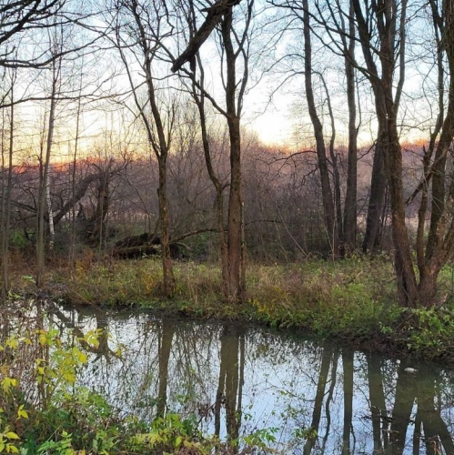 Коттедж/дом Аносино, Родниковая улица,  д. 6