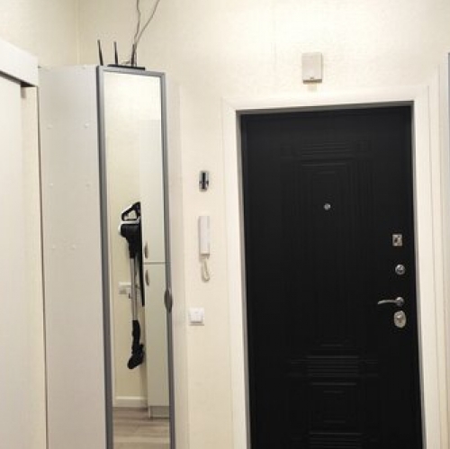 1-комн квартира Сестрорецк г, Николая Соколова ул,  д. 30