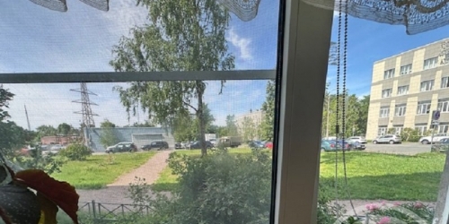 Комната Сестрорецк г., Борисова ул. ,  д. 8,  к. 1