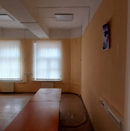 Аренда отдельного здания 11-я линия, д. 66 Аренда отдельного здания 11-я линия, д. 66