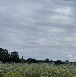 Продажа дома д. Скворицы, 7