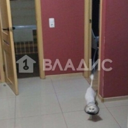 Продажа 1-комн квартиры на вторичном рынке улица Оптиков,  д. 51 к1