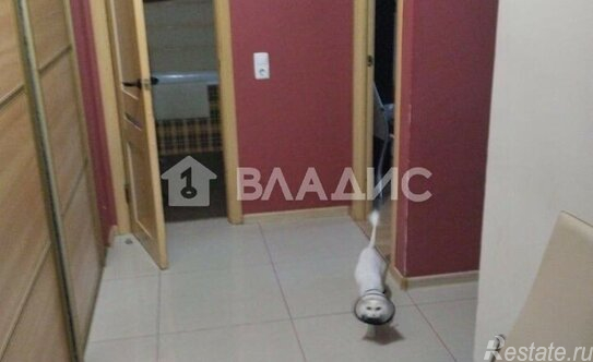 Продажа 1-комн квартиры на вторичном рынке улица Оптиков,  д. 51 к1