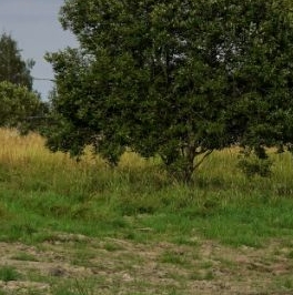 Продажа земли д. Матокса, улица Западная