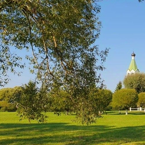 1-комн квартира Сланцы, улица Кирова, 12