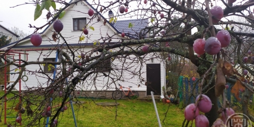 Коттедж/дом Ломоносов г., Лесная ул. ,  д. 8а