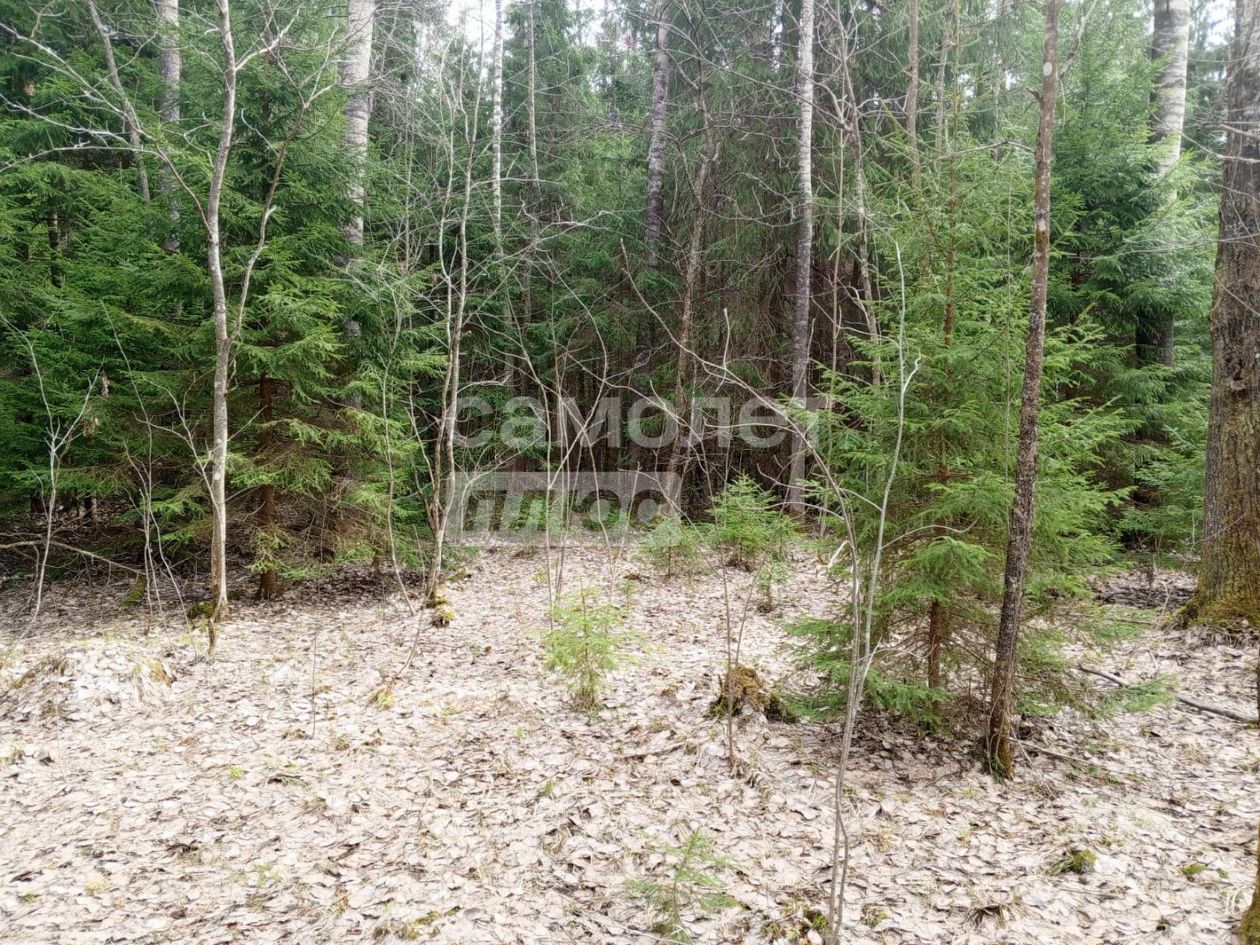 Продажа земли Новое СНТ, улица Восточная