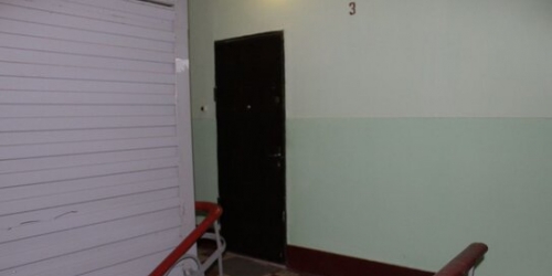 2-комн квартира улица Пудовкина,  д. 3