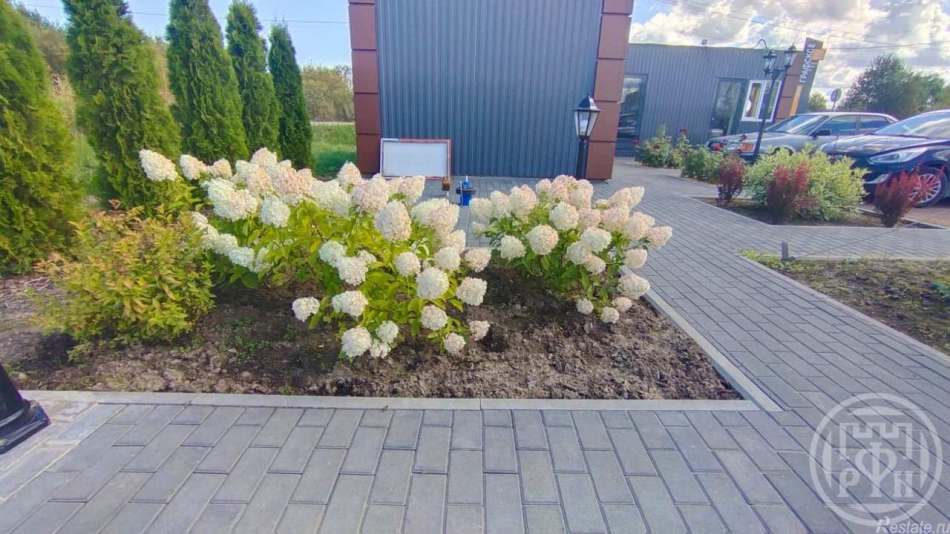 Продажа дома Ольгино дер.