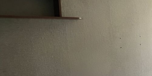 Комната пос. Шушары, Ленсоветовский тер., 10