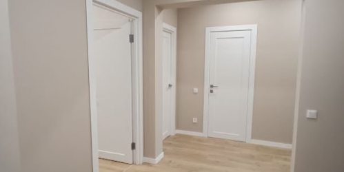 2-комн квартира Новолитовская ул. ,  д. 10