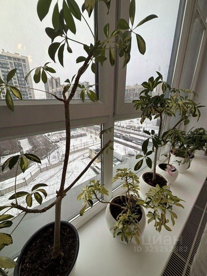 Продажа 3-комн квартиры на вторичном рынке Петергофское шоссе, 53