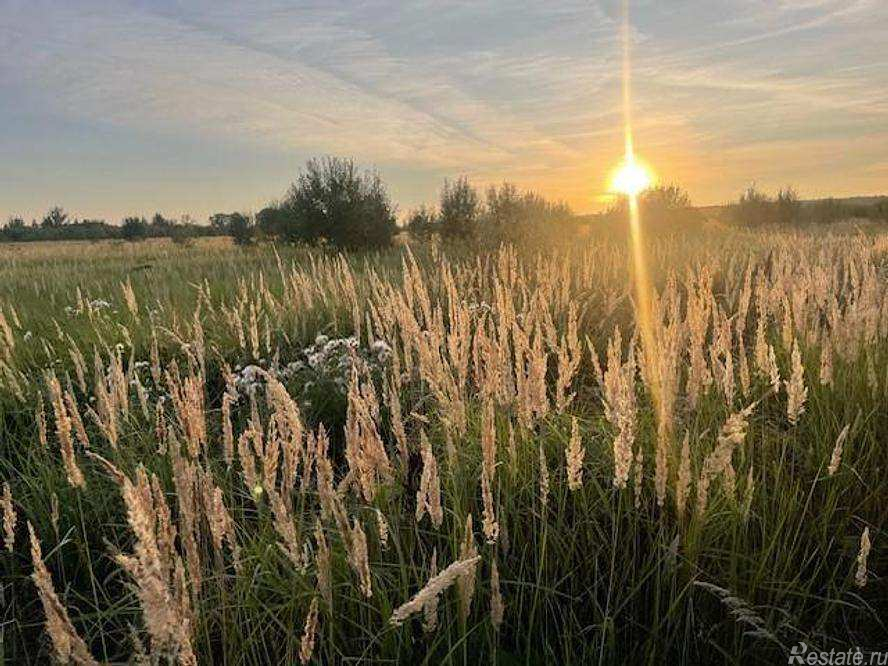 Продажа земли деревня Аргуново