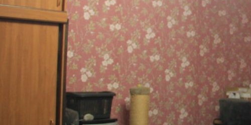 4-комн квартира Главная улица, 35