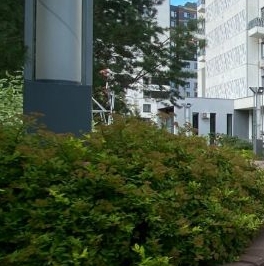 Продажа 2-комн квартиры на вторичном рынке проспект Маршала Жукова, 43к5 Продажа 2-комн квартиры на вторичном рынке проспект Маршала Жукова, 43к5