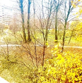 Продажа 2-комн квартиры на вторичном рынке Ветеранов пр-кт,  д. 112 к2