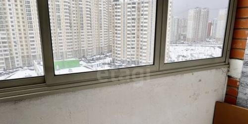 1-комн квартира Некрасовка п,  д. 5