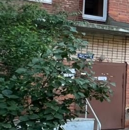 Продажа 1-комн квартиры на вторичном рынке Пушкин, улица Генерала Хазова, 6