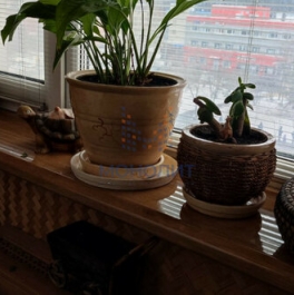 Продажа 2-комн квартиры на вторичном рынке улица Шолохова,  д. 10