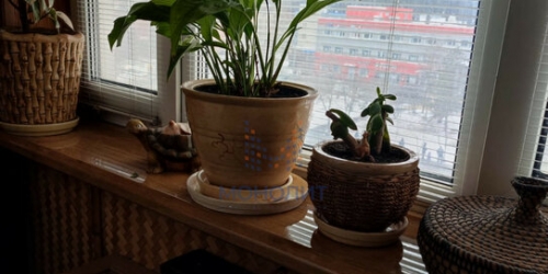 2-комн квартира улица Шолохова,  д. 10