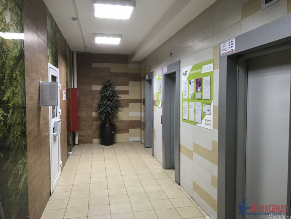 Продажа 2-комн квартиры на вторичном рынке Орбели ул. ,  д. 17