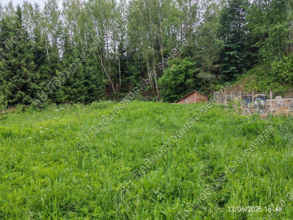 Продажа земли Новоселки деревня,
