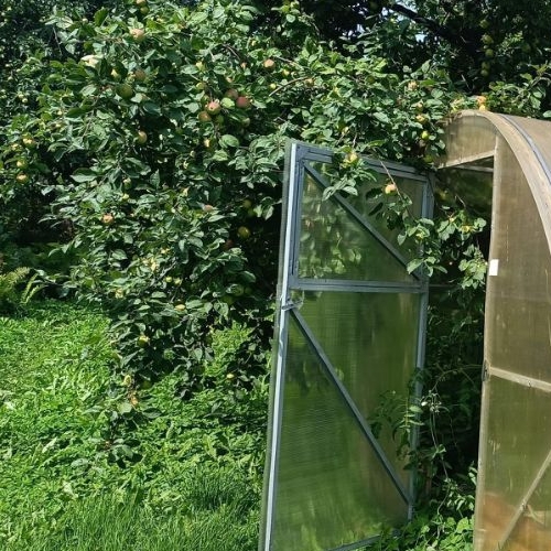 Коттедж/дом Красное Село, Дружба СНТ