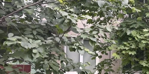 1-комн квартира улица Белы Куна, 2К3