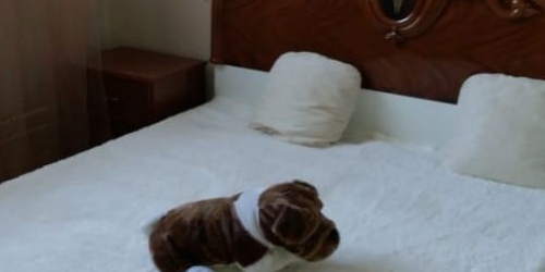 3-комн квартира улица Авиаконструктора Миля, 4к1