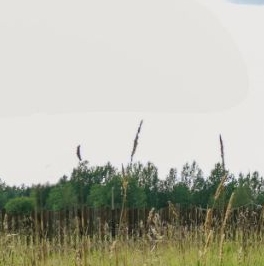 Продажа земли д. Матокса, улица Западная