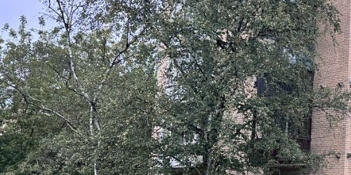 1-комн квартира улица Седова, 33