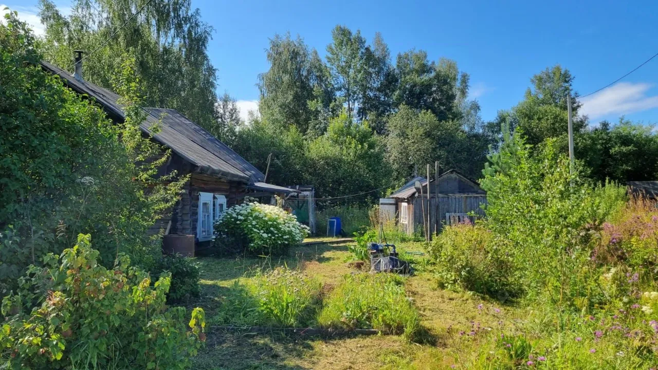 Продажа земли д. Кривой Наволок, 37