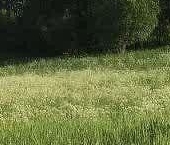 Продать Земельные участки, земля Екатериновка массив, улица Кутузовская   