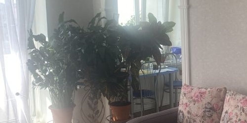 2-комн квартира Пушкин, улица Генерала Хазова, 30