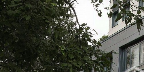 Студия 2-й Муринский проспект, 36