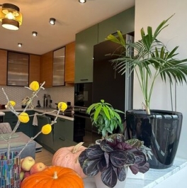 Продажа 1-комн квартиры на вторичном рынке Полоцкая улица,  д. 16