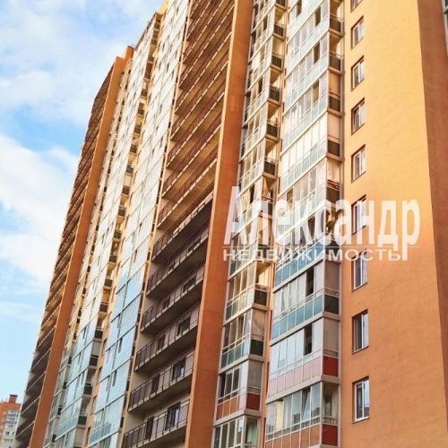 Студия Мурино, проспект Авиаторов Балтики, 15