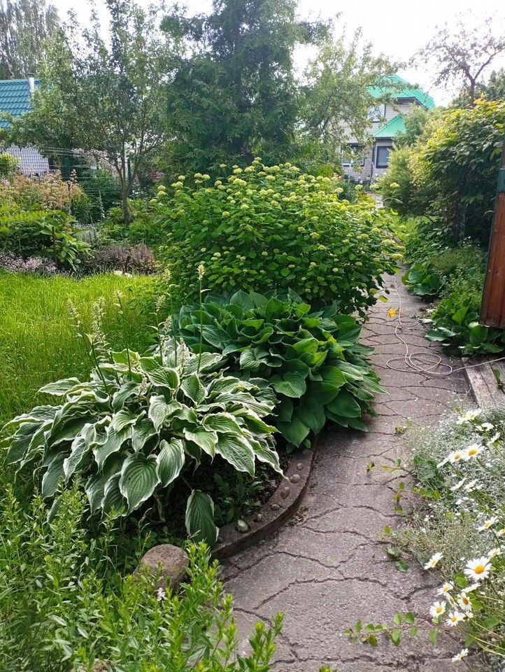 Продажа дома Пушкин, Коллективный Сад № 2 ВИР СНТ, 122