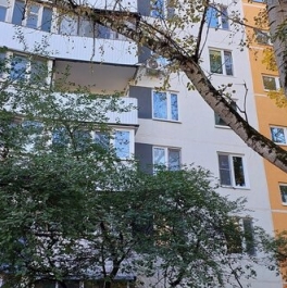 Продажа 2-комн квартиры на вторичном рынке улица Конёнкова,  д. 23Б