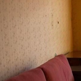 Аренда 1-комн квартиры на вторичном рынке Новоясеневский проспект, 5К1 Аренда 1-комн квартиры на вторичном рынке Новоясеневский проспект, 5К1