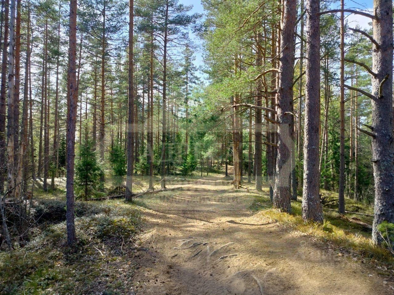 Продажа земли Лемболово Парк-9 кп,  д. 69