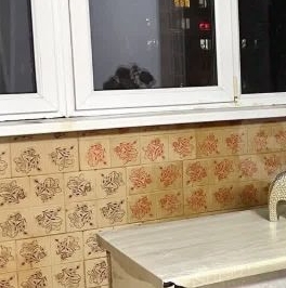 Продажа комнаты Светлановский проспект, 60К2