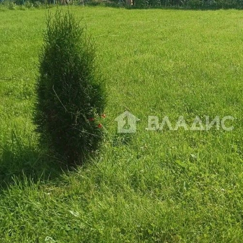 Коттедж/дом Грибное садоводческий массив, Грибное СНТ, улица Боровая, 202