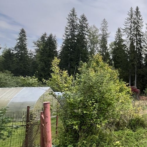 Коттедж/дом Березка СНТ