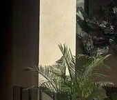 Сдать в аренду Квартиры вторичка Мастерская улица, 9   