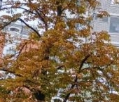 Продать Квартиры вторичка Полярная улица, 9К2   