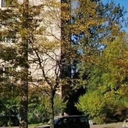 Продажа 1-комн квартиры на вторичном рынке Ветеранов пр-кт